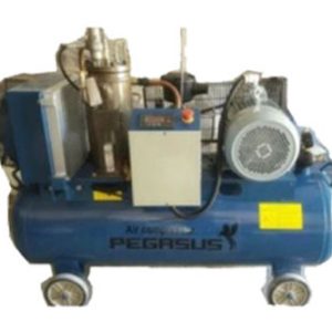 Máy Nén Khí Trục Vít Biến Tần (Tiết kiệm điện) Pegasut TMBT-20A (áp 12.5)